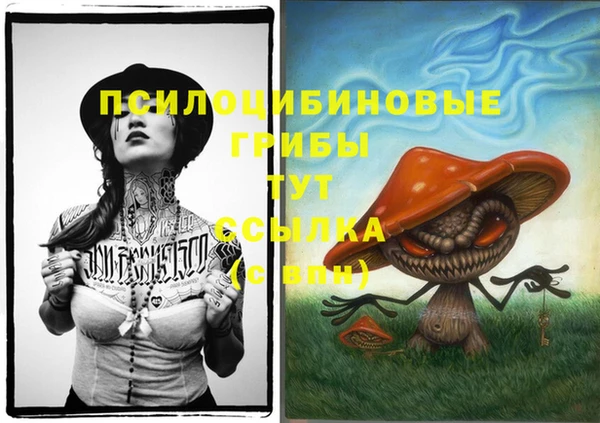 герыч Ельня