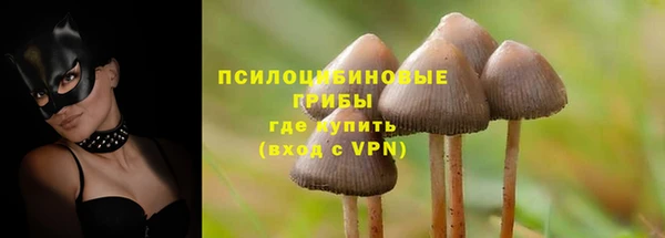 винт Гусев