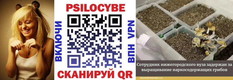 blacksprut tor  Любань  Галлюциногенные грибы мухоморы  купить наркотик 